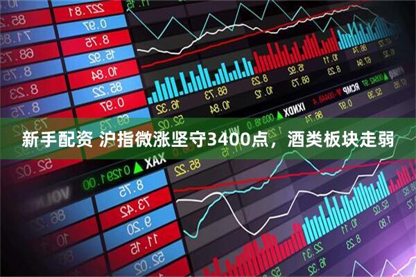 新手配资 沪指微涨坚守3400点，酒类板块走弱
