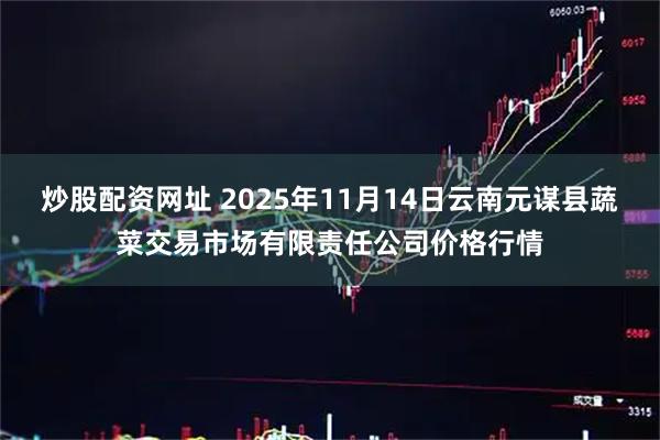 炒股配资网址 2025年11月14日云南元谋县蔬菜交易市场有限责任公司价格行情
